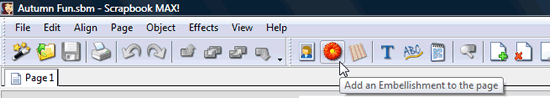 Choosing the Embellishment icon on the toolbar