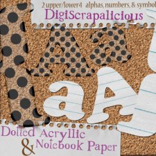 Crystal Longbrake - Alpha Double Pack Dotted Acrylic Notebook Paper Kit - Scrapbook MAX! Booster Pack Store