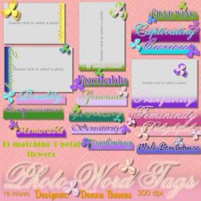 Donna Thomas - Photo Word Tags - Scrapbook MAX! Booster Pack Store