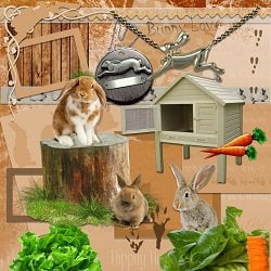 Rabbit Roundup Scrapbook Page Kit