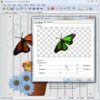 Colorizing Elements in Scrapbook MAX!